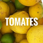 Tomates en Verano