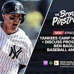 Bronx Pinstripes