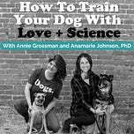 Don't Be a Dick to Your Dog