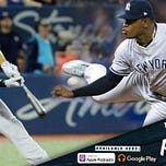 Bronx Pinstripes
