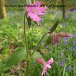 The Wildlife Garden Podcast