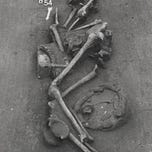 Anthropology.net