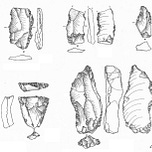 Anthropology.net