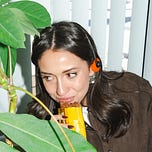 The Digest by Citrus Diaries