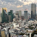 Japanpodden