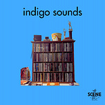 Indigo Sounds Newsletter
