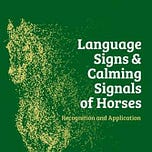 Curious Equestrian