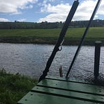 Ireland on the Fly
