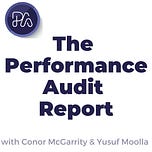 The Performance Audit Report