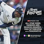 Bronx Pinstripes