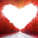 29 Love Letters 