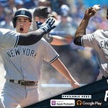 Bronx Pinstripes