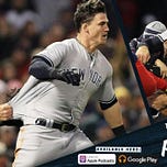 Bronx Pinstripes