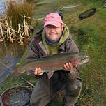 Ireland on the Fly