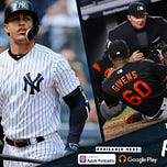 Bronx Pinstripes