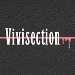 MMA Vivisection & 6th Round