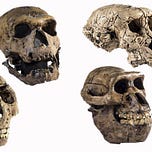 Anthropology.net