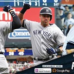 Bronx Pinstripes