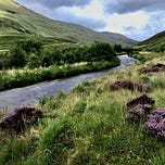Ireland on the Fly