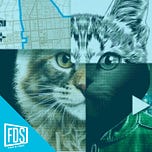 La Newsletter de Fuera de Series