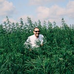 Cannabis in Thailand