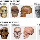 Anthropology.net