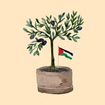 Rooted in Palestine