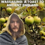 Saxon Forager