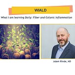 Sound Bites with Dr. Adam Rinde
