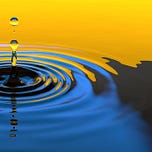 Changemakers’ Substack
