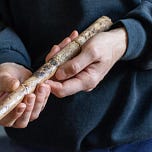 Anthropology.net