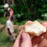 Anthropology.net