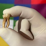 Anthropology.net
