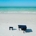Where Pianos Roam
