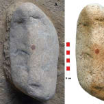 Anthropology.net