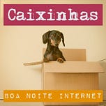 Boa Noite Internet
