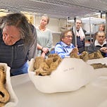 Anthropology.net