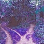 Digital Hope