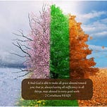 Daily Devotional For Women
