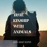 True Kinship With Animals With Janet Roper