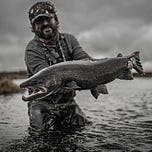 Ireland on the Fly