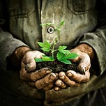 The Growing Edge