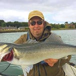 Ireland on the Fly