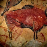 Anthropology.net