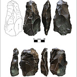 Anthropology.net