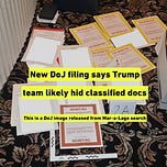The Dworkin Report