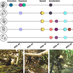 Primatology.net