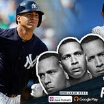 Bronx Pinstripes