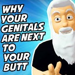 Letters from God