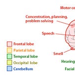 ABCs of multiple sclerosis 